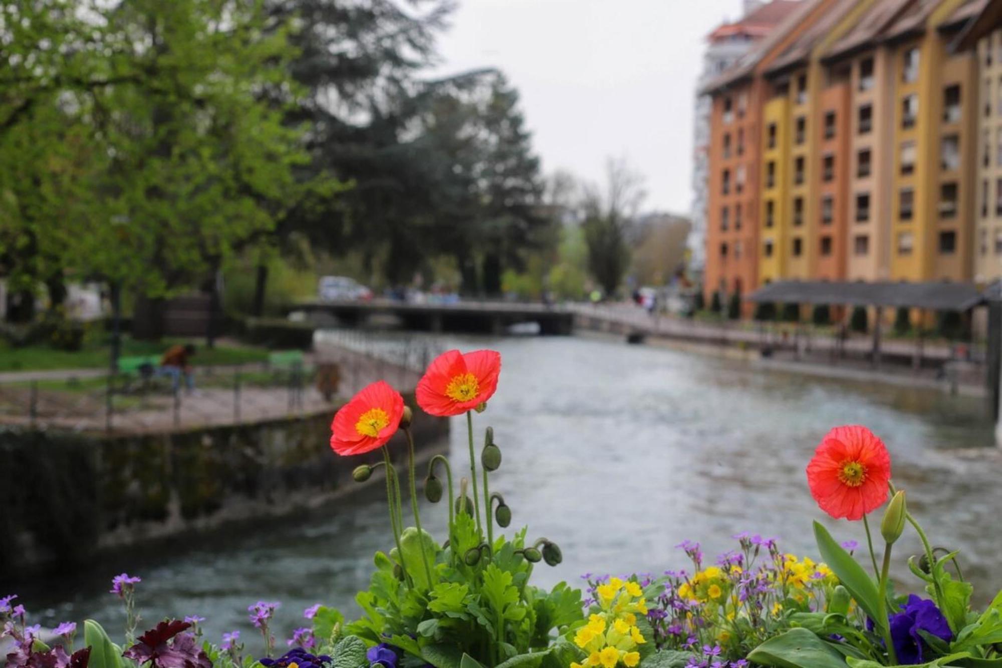 Appartement Le Coeur De : Splendide T2 Plein Centre Annecy